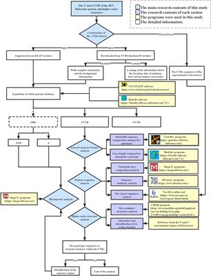 The 5′ and 3′ Untranslated Regions of the Japanese Encephalitis Virus (JEV): Molecular Genetics and Higher Order Structures